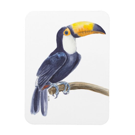 Toucan, tropischer Vogel Magnet (Vertikal)