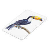 Toucan, tropischer Vogel Magnet (Linke Seite)