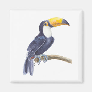 Toucan, tropischer Vogel Magnet