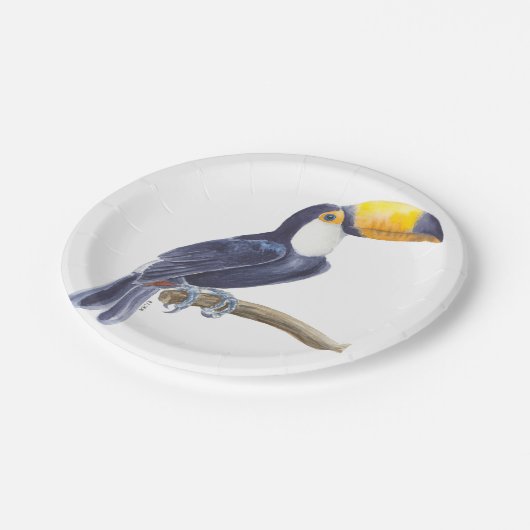 Toucan, tropischer Vogel Pappteller (Schrägansicht)