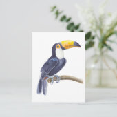 Toucan, tropischer Vogel Postkarte (Stehend Vorderseite)
