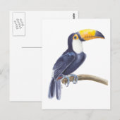 Toucan, tropischer Vogel Postkarte (Vorne/Hinten)