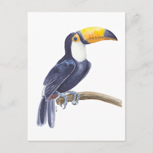 Toucan, tropischer Vogel Postkarte (Vorderseite)