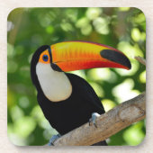 Toucan Untersetzer (Vorderseite)