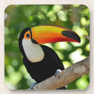Toucan Untersetzer