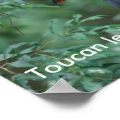 ToucanMath Poster (Ecke)