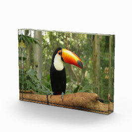Touch auf Baumzweig Fotoblock