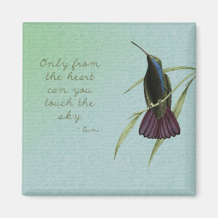 Touch der Himmel-Kolibri Magnet