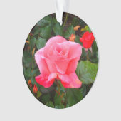 Touch der Klasse Rose #1 Ornament (Vorderseite)