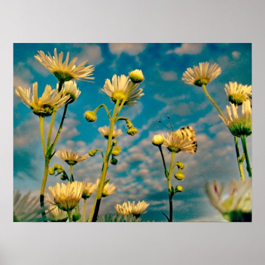 Touch der Magie-Staub Poster (Vorne)