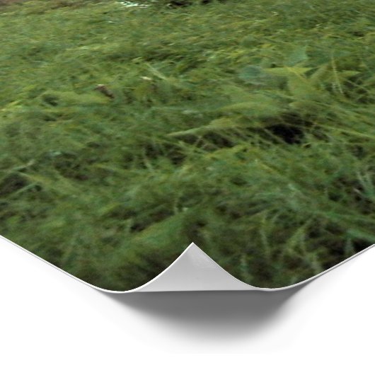 Touch der Magie-Staub Poster (Ecke)