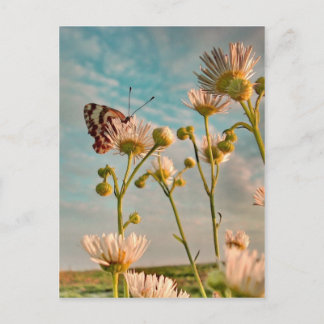 Touch der Magischen Staub von Oz Postkarte