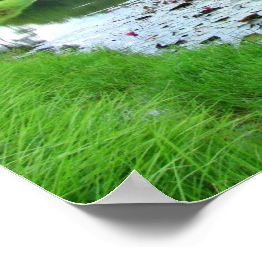 Touch der Natur Poster (Ecke)