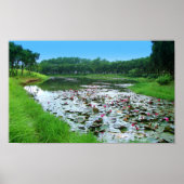 Touch der Natur Poster (Vorne)