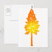 Touch der Sonne Postkarte (Vorne/Hinten)