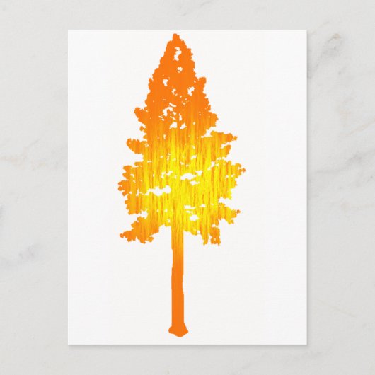 Touch der Sonne Postkarte (Vorderseite)