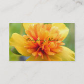 Touch der Wärme Visitenkarte (Rückseite)