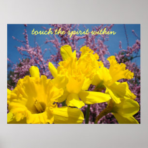 Touch des Geistes in Art Prints Yellow Daffodil Poster