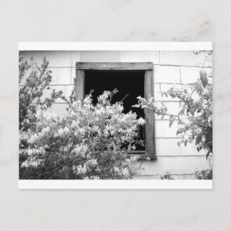 Touch DES GRAUS Postkarte
