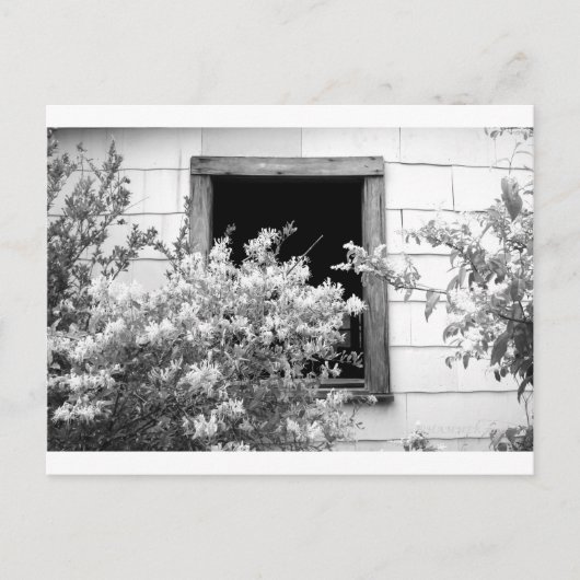 Touch DES GRAUS Postkarte (Vorderseite)