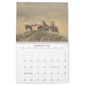 Touch des Kalenders "Wilde Afrika" 2022 Kalender (Feb 2026)
