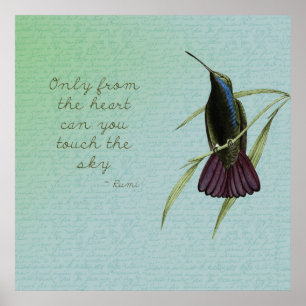 Touch des Sky Hummingbird Poster
