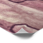 Touch des Sky Poster (Ecke)