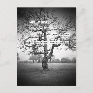 Touch ein Blatt... Postkarte