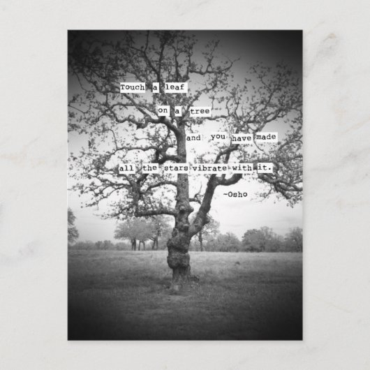 Touch ein Blatt... Postkarte (Vorderseite)