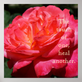 Touch einer heilt die andere Rose-Drucke Poster