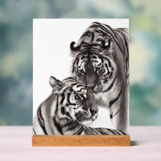 Touch - Handgemalte Tigerarmaturen Acrylschild
