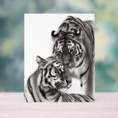 Touch - Handgemalte Tigerarmaturen Acrylschild (Neutral)