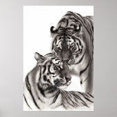 Touch - Handgemalte Tigerarmaturen Poster (Vorne)