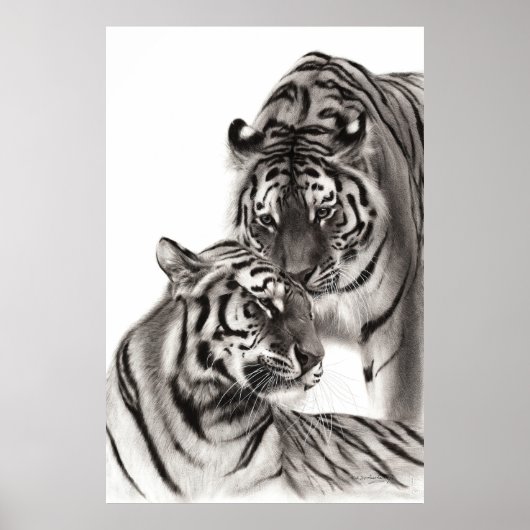 Touch - Handgemalte Tigerarmaturen Poster (Vorne)