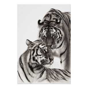 Touch - Handgemalte Tigerarmaturen Poster