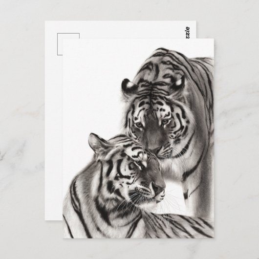 Touch - Handgemalte Tigerarmaturen Postkarte (Vorne/Hinten)