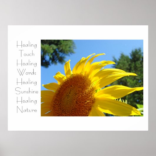 Touch Heilkunst druckt Gelbe Sonnenblume Poster (Vorne)