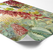 Touch Ich nicht Blume und Zuckerkulturen, Tulbagh Poster (Ecke)