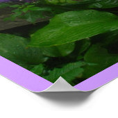 Touch lila poster (Ecke)