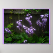 Touch lila poster (Vorne)