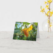Touch-Me-Not-Orange-Wildblume Karte (Gelbe Blume)