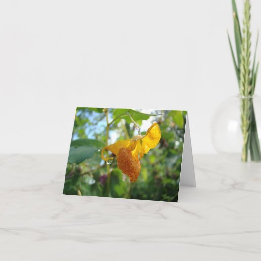 Touch-Me-Not-Orange-Wildblume Karte (Vorderseite)