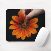 Touch Mousepad (Mit Mouse)