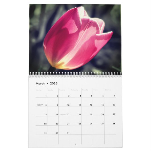 Touch Of Color Flowers And Nature Kalender (Mär 2026)
