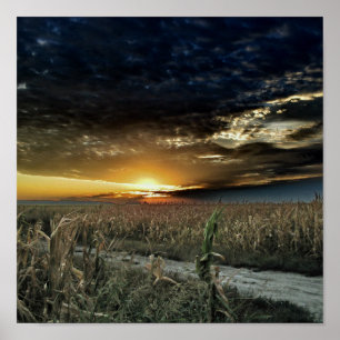 Touch of Magic Dust from Oz Poster