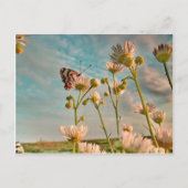 Touch of Magic  Dust From Oz Postkarte (Vorderseite)