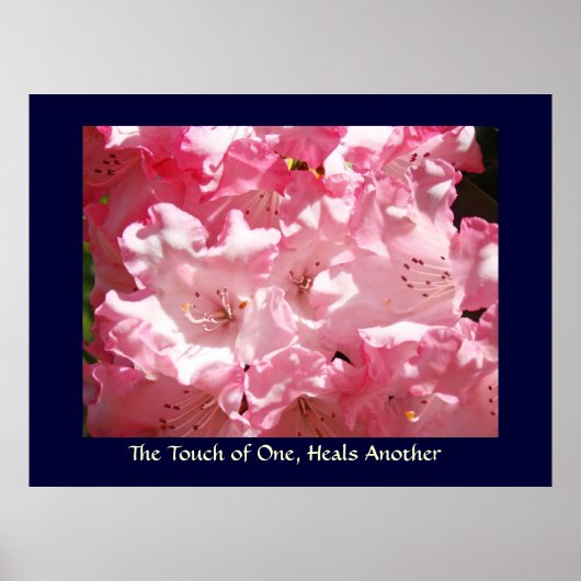 Touch One, Heals Another Art Print Pink Rhodies Poster (Vorne)
