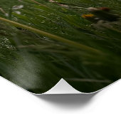 Touch Poster (Ecke)