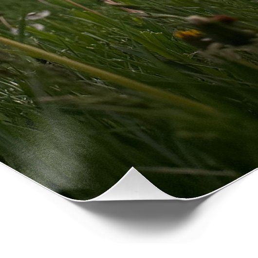 Touch Poster (Ecke)