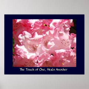 Touch von einer, heilt ein anderes Kunstdruck Rosa Poster